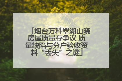 烟台万科翠湖山晓房屋质量存争议 质量缺陷与分户验收资料“丢失”之谜