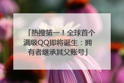 热搜第一！全球首个满级QQ即将诞生：拥有者继承其父账号