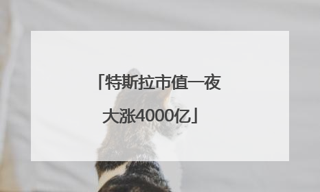 特斯拉市值一夜大涨4000亿
