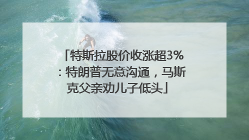 特斯拉股价收涨超3%：特朗普无意沟通，马斯克父亲劝儿子低头