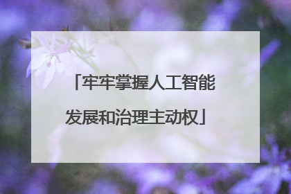 牢牢掌握人工智能发展和治理主动权