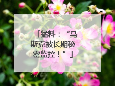 猛料：“马斯克被长期秘密监控！”