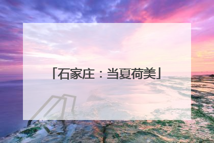 石家庄：当夏荷美