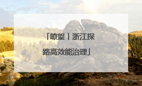 瞭望丨浙江探路高效能治理
