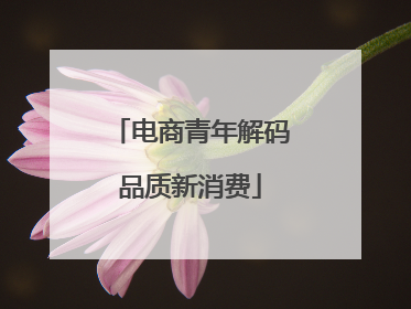 电商青年解码品质新消费