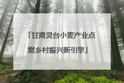 甘肃灵台小麦产业点燃乡村振兴新引擎