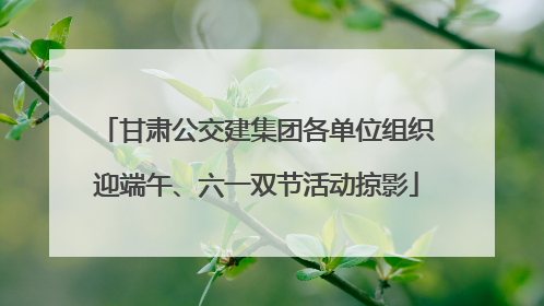 甘肃公交建集团各单位组织迎端午、六一双节活动掠影