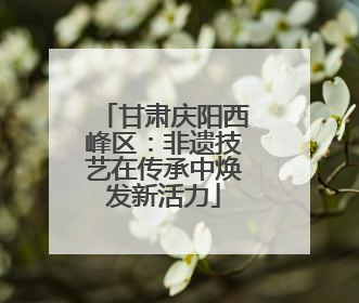 甘肃庆阳西峰区：非遗技艺在传承中焕发新活力