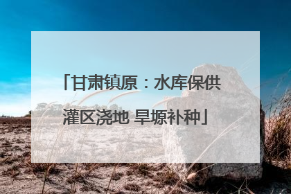 甘肃镇原：水库保供 灌区浇地 旱塬补种
