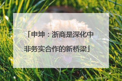 申坤：浙商是深化中非务实合作的新桥梁