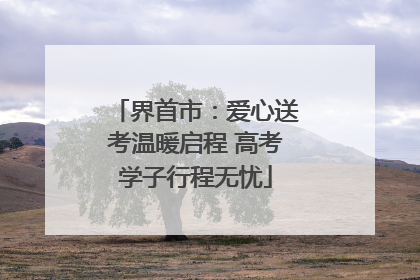 界首市：爱心送考温暖启程 高考学子行程无忧
