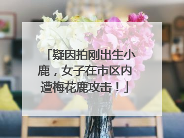 疑因拍刚出生小鹿，女子在市区内遭梅花鹿攻击！
