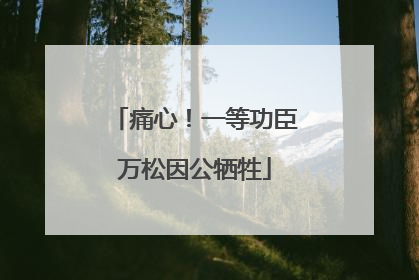 痛心！一等功臣万松因公牺牲