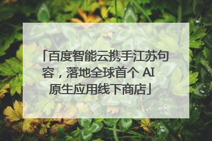 百度智能云携手江苏句容，落地全球首个 AI 原生应用线下商店