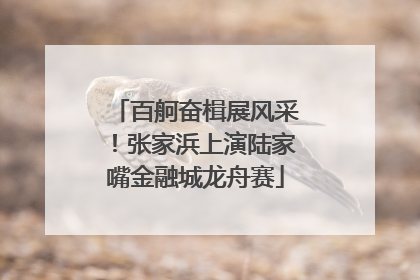 百舸奋楫展风采！张家浜上演陆家嘴金融城龙舟赛