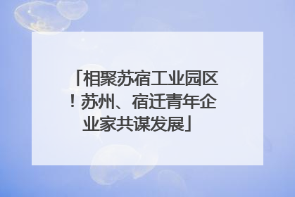 相聚苏宿工业园区！苏州、宿迁青年企业家共谋发展