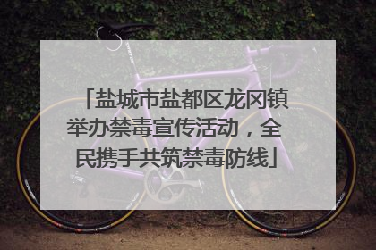 盐城市盐都区龙冈镇举办禁毒宣传活动，全民携手共筑禁毒防线