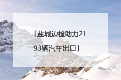 盐城边检助力2193辆汽车出口