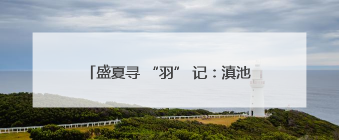 盛夏寻 “羽” 记：滇池观鸟掀起生态旅游新风尚