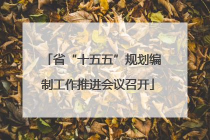 省“十五五”规划编制工作推进会议召开