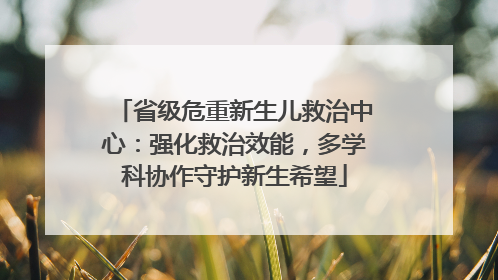 省级危重新生儿救治中心：强化救治效能，多学科协作守护新生希望