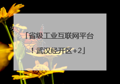省级工业互联网平台！武汉经开区+2
