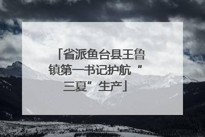 省派鱼台县王鲁镇第一书记护航“三夏”生产