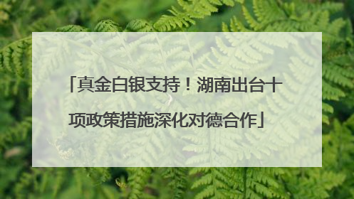 真金白银支持！湖南出台十项政策措施深化对德合作