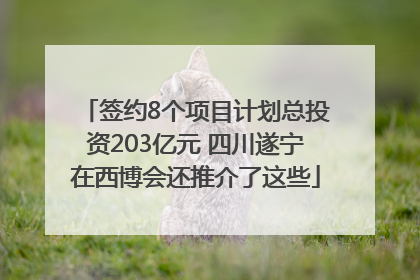 签约8个项目计划总投资203亿元 四川遂宁在西博会还推介了这些