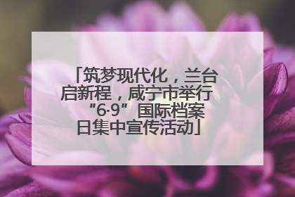 筑梦现代化，兰台启新程，咸宁市举行“6·9”国际档案日集中宣传活动