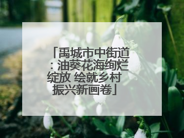 禹城市中街道：油葵花海绚烂绽放 绘就乡村振兴新画卷