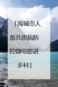 禹城市人畜共患病防控微电影进乡村