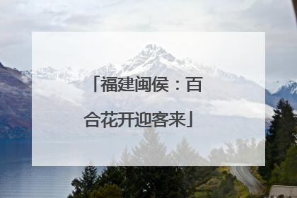 福建闽侯：百合花开迎客来