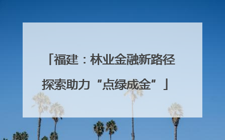 福建：林业金融新路径探索助力“点绿成金”