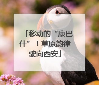 移动的“康巴什”！草原韵律驶向西安
