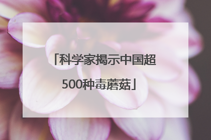 科学家揭示中国超500种毒蘑菇