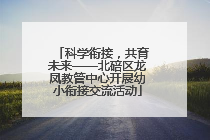 科学衔接，共育未来——北碚区龙凤教管中心开展幼小衔接交流活动