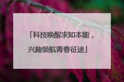 科技唤醒求知本能，兴趣领航青春征途
