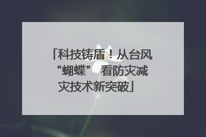 科技铸盾！从台风“蝴蝶” 看防灾减灾技术新突破