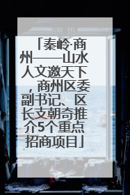 秦岭·商州——山水人文邀天下，商州区委副书记、区长支朝奇推介5个重点招商项目
