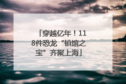 穿越亿年！118件恐龙“镇馆之宝”齐聚上海
