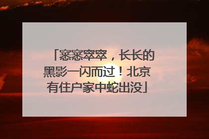 窸窸窣窣，长长的黑影一闪而过！北京有住户家中蛇出没