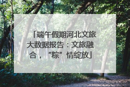 端午假期河北文旅大数据报告：文旅融合，“粽”情绽放