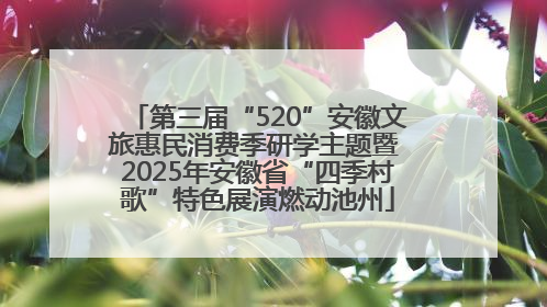 第三届“520”安徽文旅惠民消费季研学主题暨 2025年安徽省“四季村歌”特色展演燃动池州