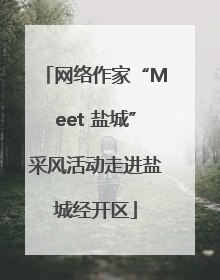 网络作家“Meet 盐城”采风活动走进盐城经开区