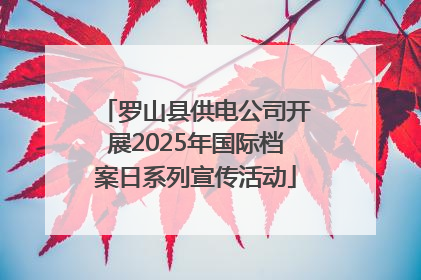 罗山县供电公司开展2025年国际档案日系列宣传活动