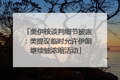美伊核谈判细节披露：美提议临时允许伊朗继续铀浓缩活动