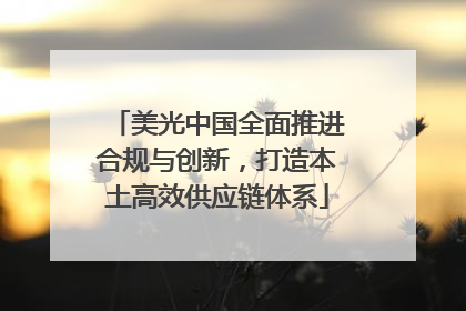 美光中国全面推进合规与创新，打造本土高效供应链体系