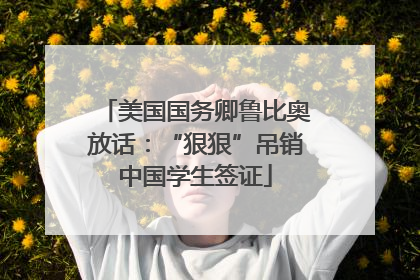 美国国务卿鲁比奥放话：“狠狠”吊销中国学生签证
