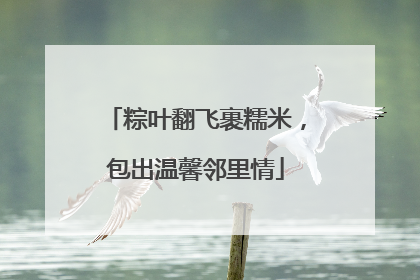 粽叶翻飞裹糯米，包出温馨邻里情